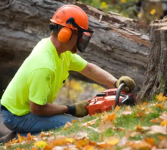 tree services Brandywine
